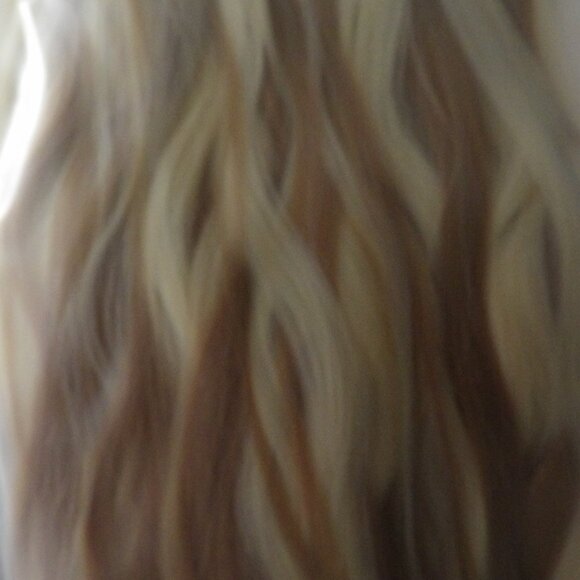 NEW Blonde and Brown Extensions = Ponytail? - Picture 1 of 3